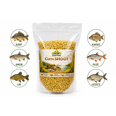 ZIARNEK CORN SHOOT 5KG