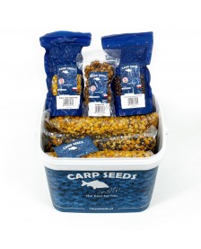 CARP SEEDS FULL BOX...